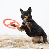 Bionic TOSS-N-TUG® langlebiges Hundespielzeug – TOSS-N-TUG