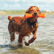 Bionic Urban Stick langlebiges Hundespielzeug