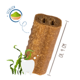 Sammys Zahnfee