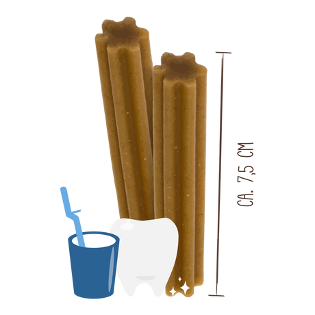 Sammys Zahnstengel – 300 g