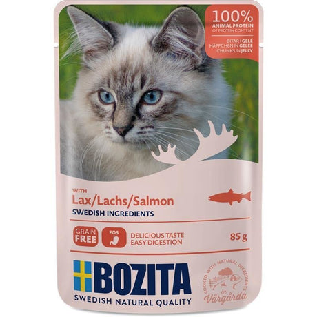 Katzenfutter Häppchen in Gelee – Lachs - 12 x 85 g