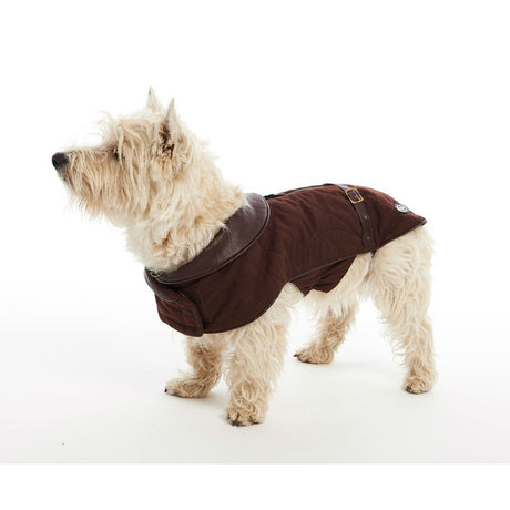 City Hundemantel