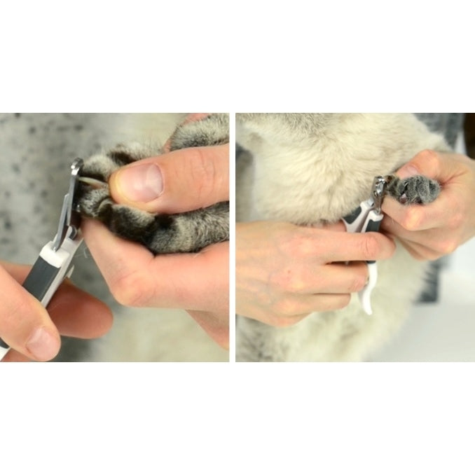 Catit Grooming Kit - Bürsten-Set für Katzen