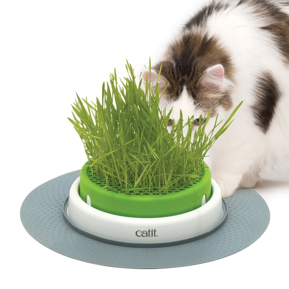catit Senses 2.0 Grastopf Grass Planter