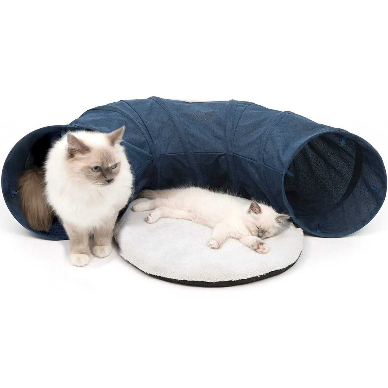Catit Vesper Katzen Tunnel