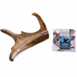 Chewies Snack Damhirsch Geweih – Gr. L, Stück (120-160g)