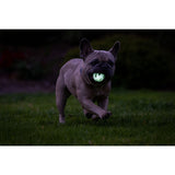Chuckit! Air Glow Fetch Ball