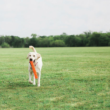 Chuckit! Breathe Right Air Fetch Stick Hundespielzeug