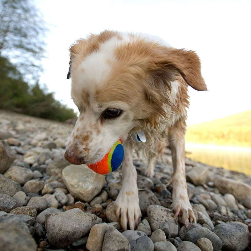 Chuckit! Tennis Ball