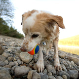 Chuckit! Tennis Ball