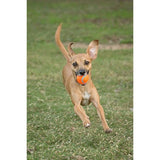 Chuckit! Tennis Ball