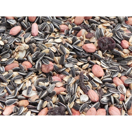 Classic Bird Wildvogelfutter ohne Hirse – 2,5 kg