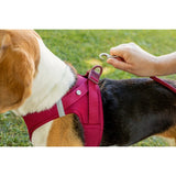 Curli Clasp Vest Geschirr Softshell Hundegeschirr
