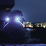 Curli luumi LED Sicherheitslicht