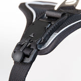 Curli Magnetic Belka Comfort Geschirr