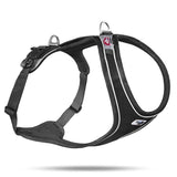 Curli Magnetic Belka Comfort Geschirr
