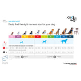 Curli Belka Geschirr Glow Gray – Sicher & Stylish für deinen Hund