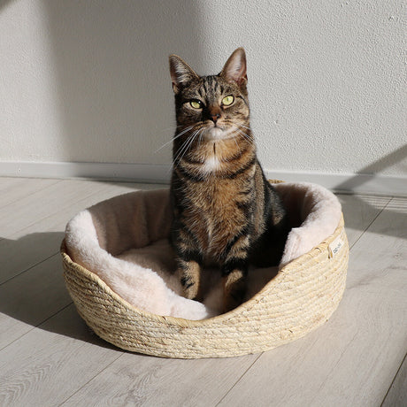 Katzenkorb Ella