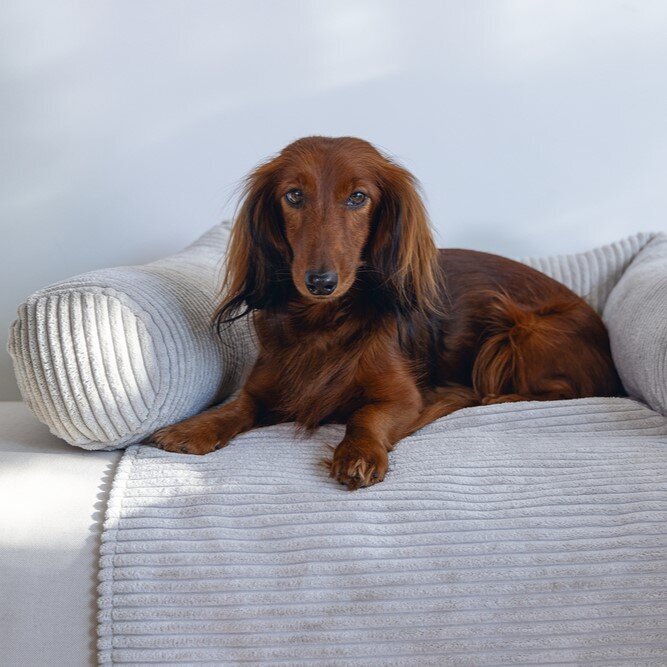 Couchkissen Ribbed