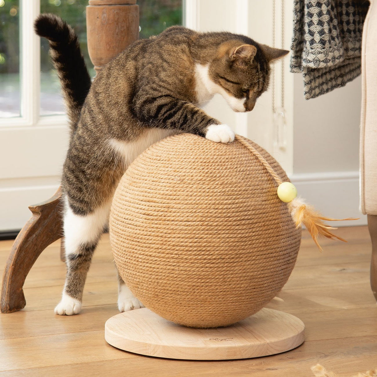 Kratzball Balty