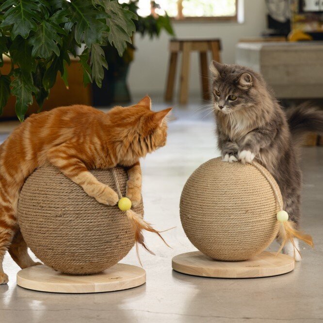 Kratzball Balty