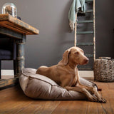 Designed by Lotte Nalino Hundekissen