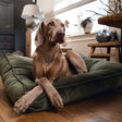 Designed by Lotte Nalino Hundekissen
