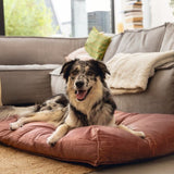 Designed by Lotte Nalino Hundekissen