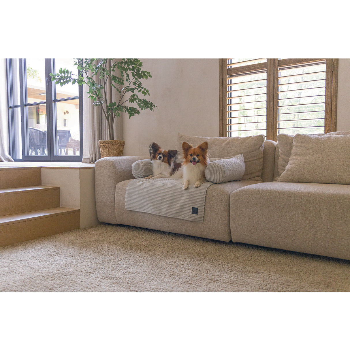 Sofa Hundekissen, Sofakissen für Hunde gerippt