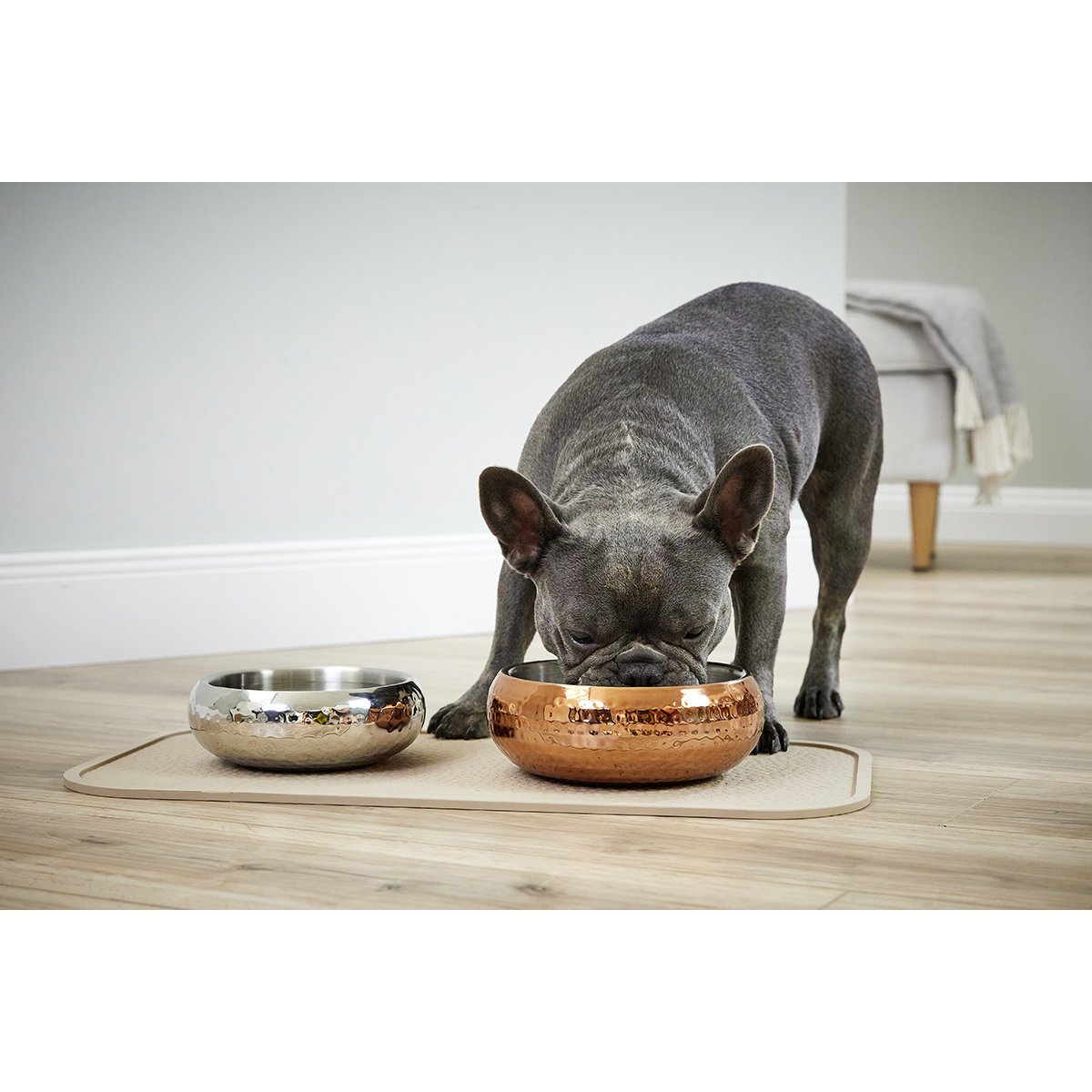 Diner Steel Hundenapf