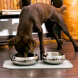 Diner Steel Hundenapf