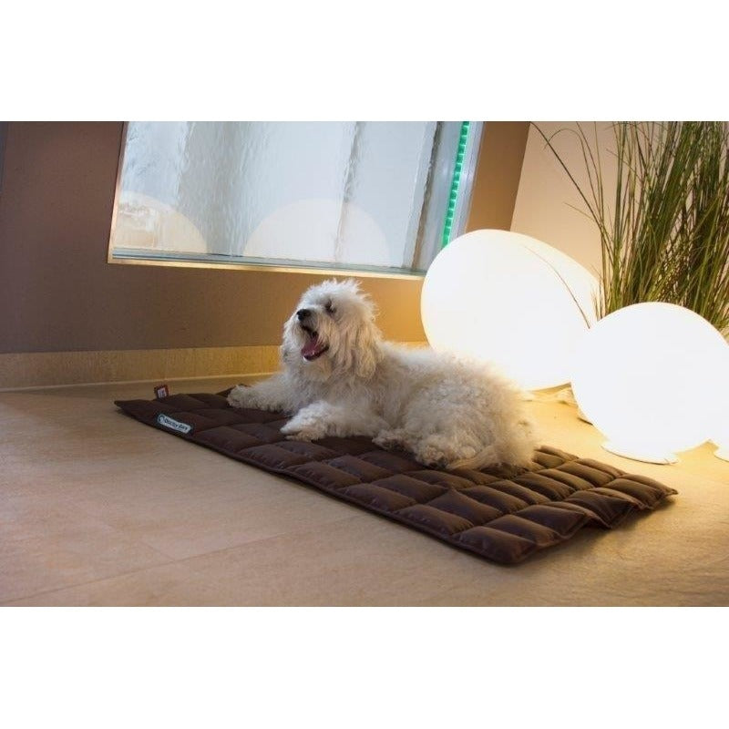 Doctor Bark Hundedecke