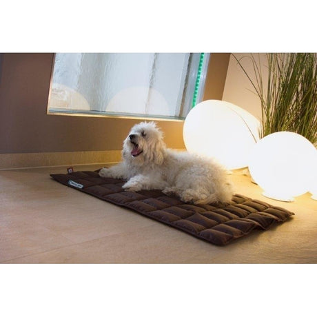 Doctor Bark Hundedecke