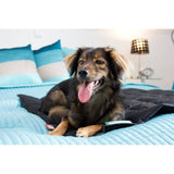 Doctor Bark Hundedecke