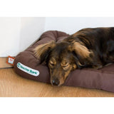 Doctor Bark Hundekissen