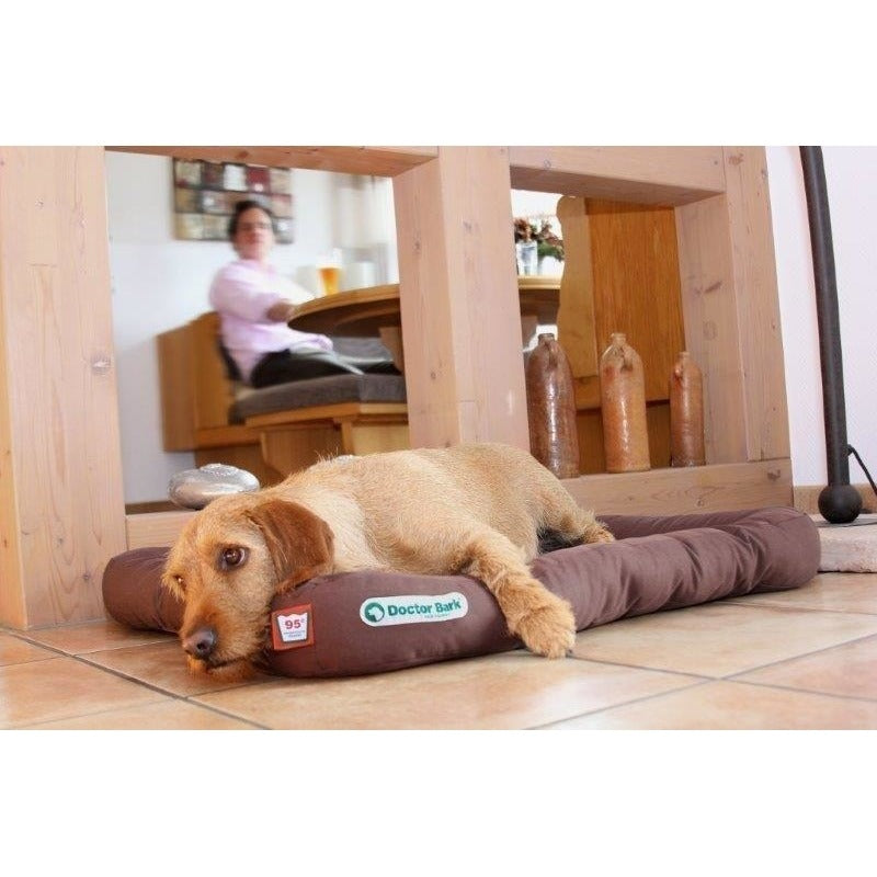 Doctor Bark Hundekissen