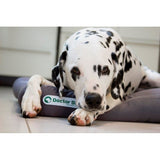 Doctor Bark Hundekissen