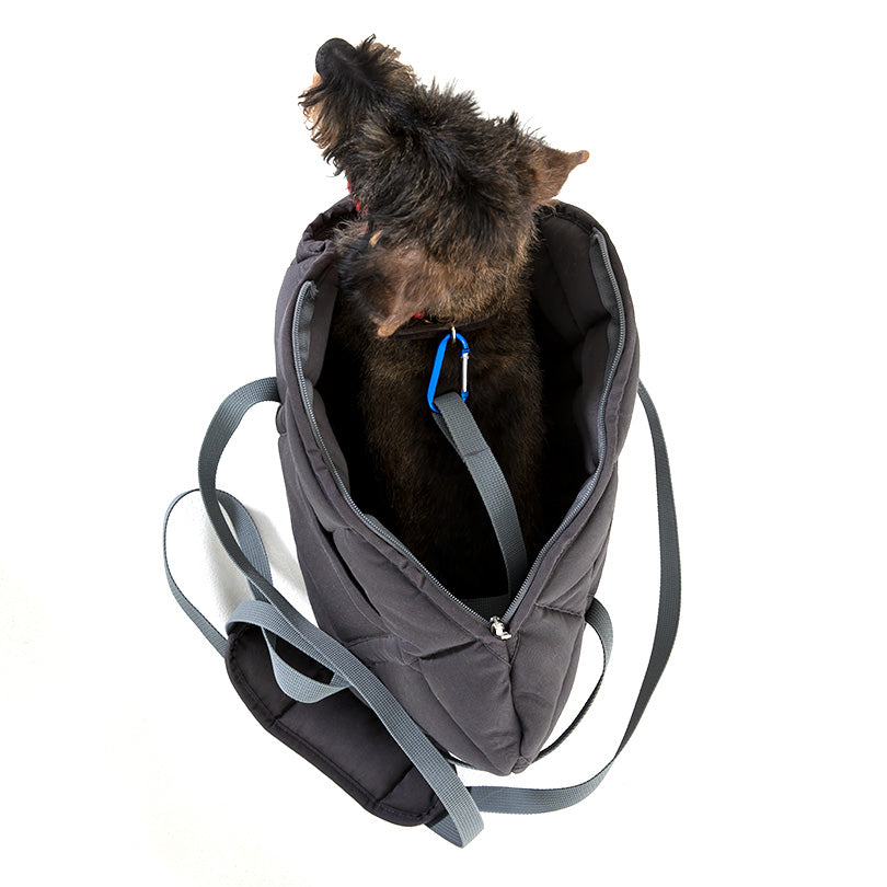Doctor Bark Hundetragetasche