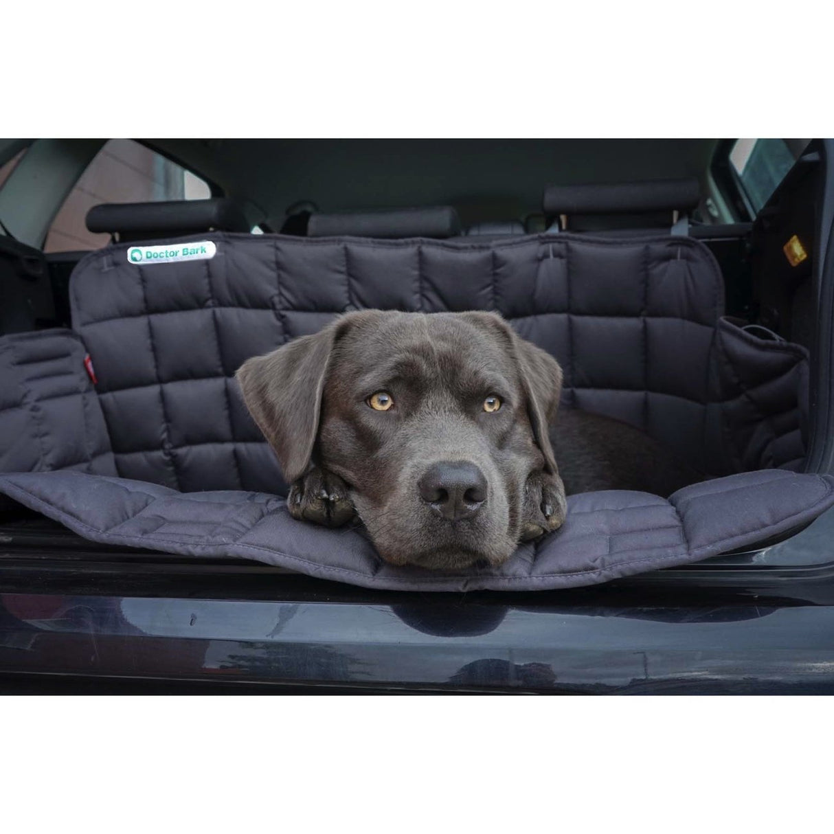 Doctor Bark Kofferraumdecke für Hunde