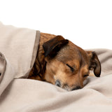 Doctor Bark Kuscheldecke Fleece für Hunde