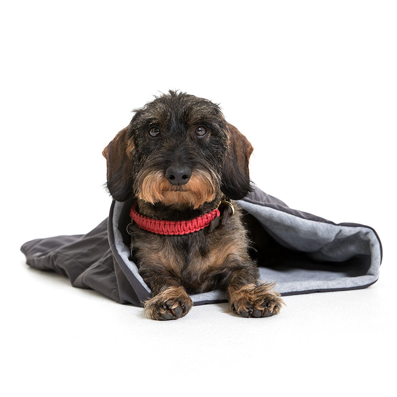 Doctor Bark Schlafsack für Hunde