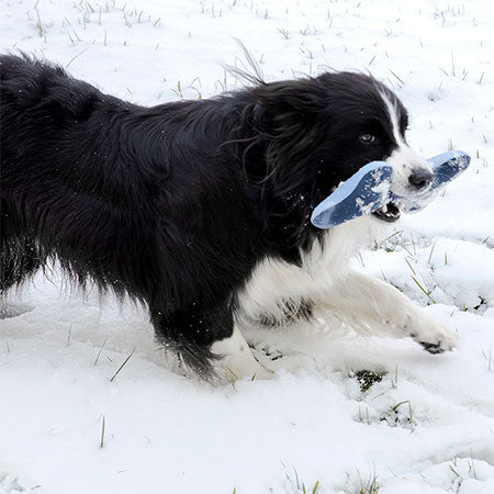 Doctor Bark Toy Bone - Hundespielzeug