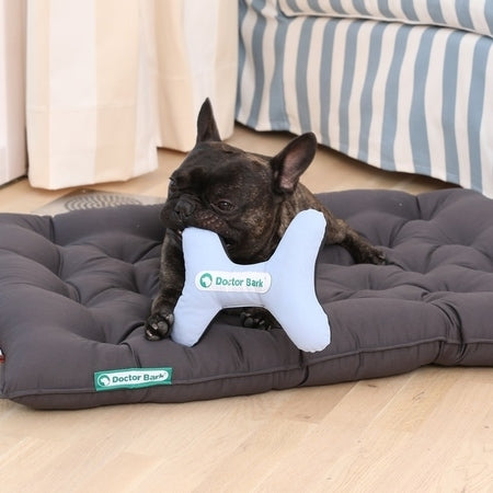Doctor Bark Toy Bone - Hundespielzeug