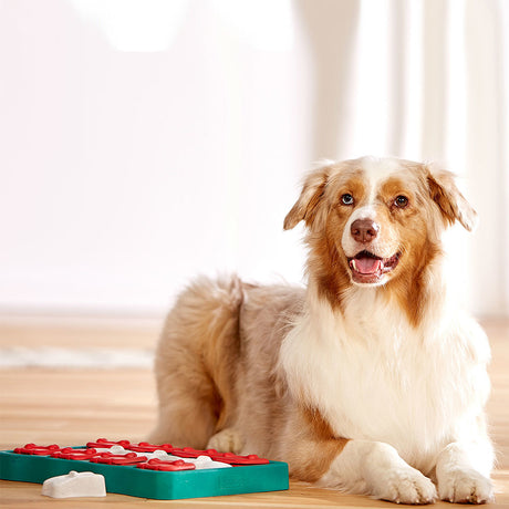 Dog Brick Plastik