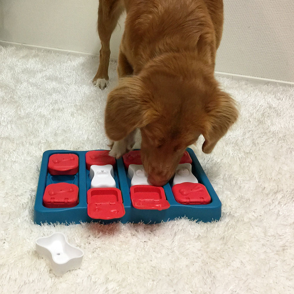 Dog Brick Plastik