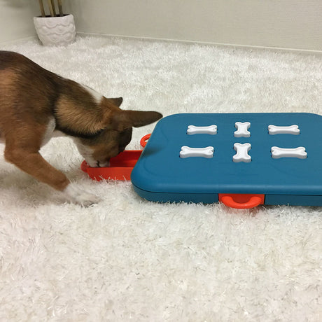 Dog Casino Hundespielzeug Plastik