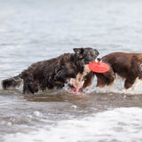 Dog Disc aus thermoplastischem Gummi (TPR)