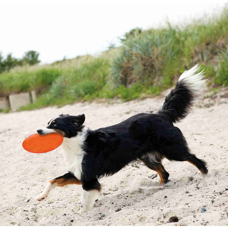 Dog Disc aus thermoplastischem Gummi (TPR)