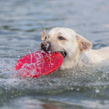 Dog Disc aus thermoplastischem Gummi (TPR)