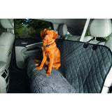 Dirty Dog Autodecke